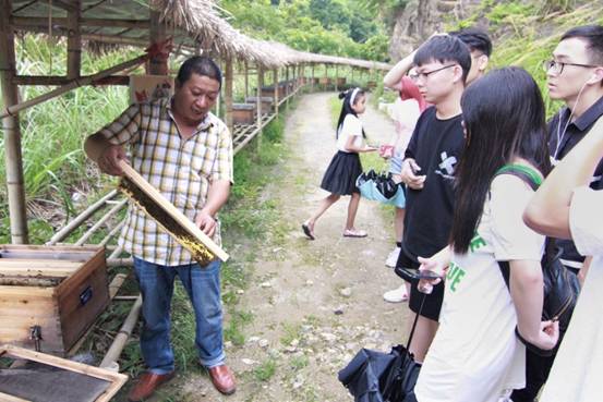 ”善行景宁乡，共圆畲汉梦“四虎影院
景宁梦之队-实地调研当地养蜂业